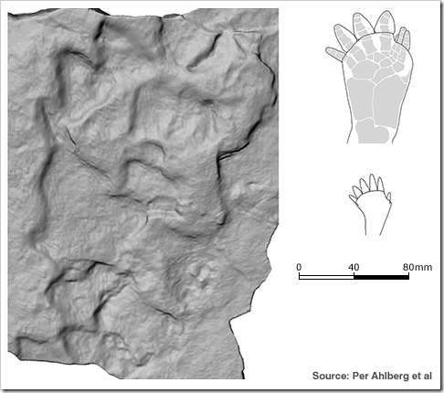 Tetrapod Footprints